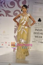 Model walks the ramp for Arjun Anjalee Kapoor for Aamby Valley India Bridal Week on 30th Oct 2010 (48).JPG